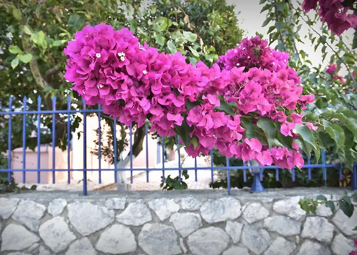 Moulinos Kefalonia Apartament