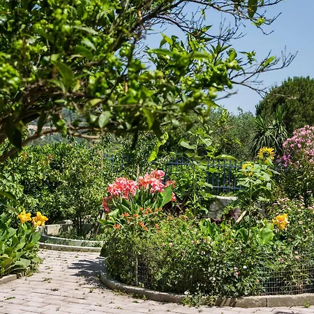 Moulinos Kefalonia Apartment