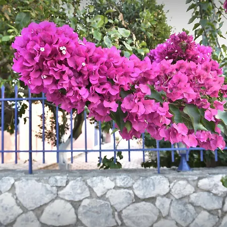 Moulinos Kefalonia Apartment